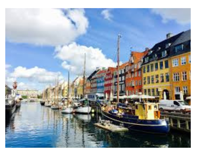 danish institute for study abroad