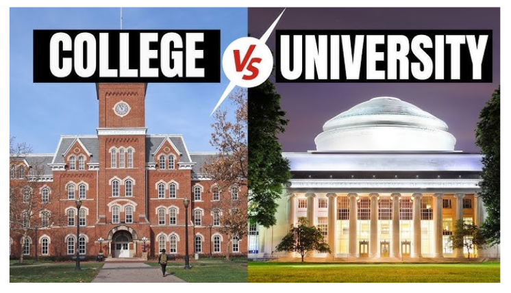 university vs college